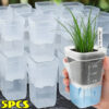 Transparent Self-Watering Plant Pots | Automatic Cotton Wick Absorption Nursery Cups for Seedlings & Garden