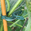 Reusable Plant Support Clips | Garden Vine Climbing Clamps for Tomato, Flower & Greenhouse Bracket