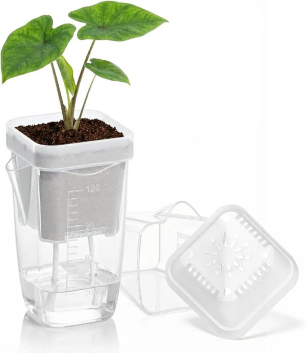 Transparent Self-Watering Plant Pots | Automatic Cotton Wick Absorption Nursery Cups for Seedlings & Garden