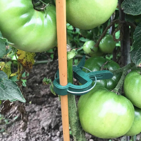 Reusable Plant Support Clips | Garden Vine Climbing Clamps for Tomato, Flower & Greenhouse Bracket