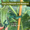 Reusable Plant Support Clips | Garden Vine Climbing Clamps for Tomato, Flower & Greenhouse Bracket