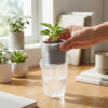 Transparent Self-Watering Plant Pots | Automatic Cotton Wick Absorption Nursery Cups for Seedlings & Garden