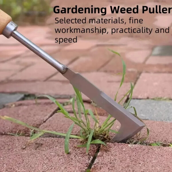 13.5" L-Shaped Stainless Steel Crack Weeding Tool - Manual Garden Hand Weeder with Ergonomic Wooden Handle for Patio, Driveway, and Sidewalk Gap Cleaning