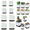 5Pcs Plant Pots, Self Watering Flower Pots Indoor Outdoor, Self Watering Planters with Drainage Hole & Clear Saucer Reservoir
