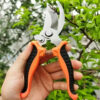 Professional Stainless Steel Bypass Pruning Shears - Sharp Bird-Beak Garden Scissors and Tree Trimmer, Anti-Slip Hand Clippers for Fruits and Branches