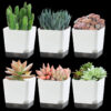 5Pcs Plant Pots, Self Watering Flower Pots Indoor Outdoor, Self Watering Planters with Drainage Hole & Clear Saucer Reservoir