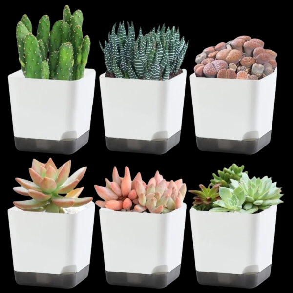 5Pcs Plant Pots, Self Watering Flower Pots Indoor Outdoor, Self Watering Planters with Drainage Hole & Clear Saucer Reservoir