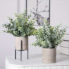 Artificial Eucalyptus Potted Plants (2-Pack) - Small Faux Greenery Desktop Decor in Textured Gray Pots, Realistic Plastic Plant Arrangement for Home, Office, Shelf, and Holiday Table Decoration