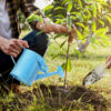 1.5L Vintage Metal Watering Can | Colorful Iron Flower Sprinkler for Indoor & Outdoor