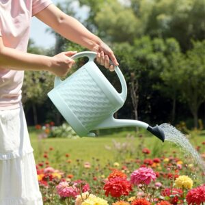 7f98e28d-7c41-481b-b4e9-5054ea8313de Ergonomic Long-Spout Watering Can with Detachable Rose Sprinkler – Large Capacity Heavy-Duty Garden Watering Pot for Indoor & Outdoor Plants