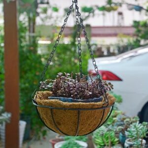 Premium 10-Inch Hanging Planter Basket Set (3-Pack) – Rust-Proof Metal Wire Flowerpots with Natural Coco Liners for Patio, Porch & Balcony