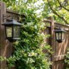 Outdoor Solar Wall Lanterns (2-Pack) - Anti-Rust Metal Hanging Solar Sconces with 4 Solar Panels, 3000K Warm White Dusk to Dawn LED Glass Bulb Lights for Porch, Patio, and Garage