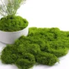 Artificial Moss for DIY Crafts - Faux Green Grass for Wall Art, Terrariums & Home Decor