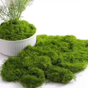 1 Artificial Moss for DIY Crafts - Faux Green Grass for Wall Art, Terrariums & Home Decor