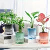 Self-Watering Desktop Planter | Double-Layer Clear Hydroponic Flower Pot