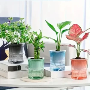 1 Self-Watering Desktop Planter | Double-Layer Clear Hydroponic Flower Pot