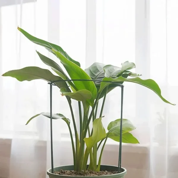6-Pack Metal Half-Round Garden Plant Support Stakes