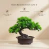 Artificial Japanese Pine Bonsai Tree in Decorative Pot - Faux Zen Desktop Plant Decor