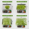 Artificial Moss for DIY Crafts - Faux Green Grass for Wall Art, Terrariums & Home Decor