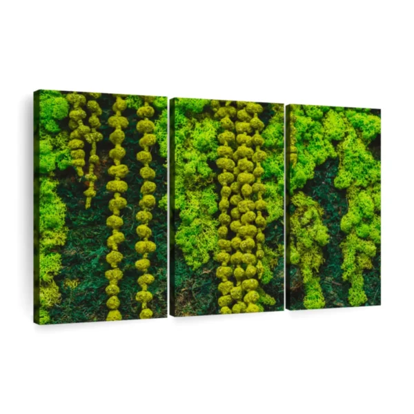 Artificial Moss for DIY Crafts - Faux Green Grass for Wall Art, Terrariums & Home Decor