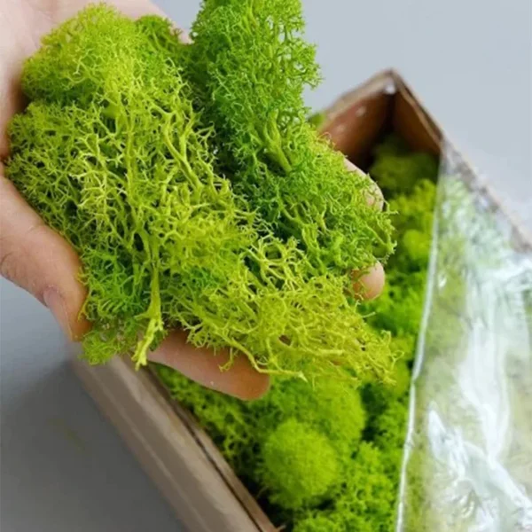 Artificial Moss for DIY Crafts - Faux Green Grass for Wall Art, Terrariums & Home Decor