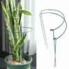 6-Pack Metal Half-Round Garden Plant Support Stakes