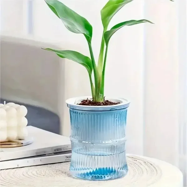 Self-Watering Desktop Planter | Double-Layer Clear Hydroponic Flower Pot